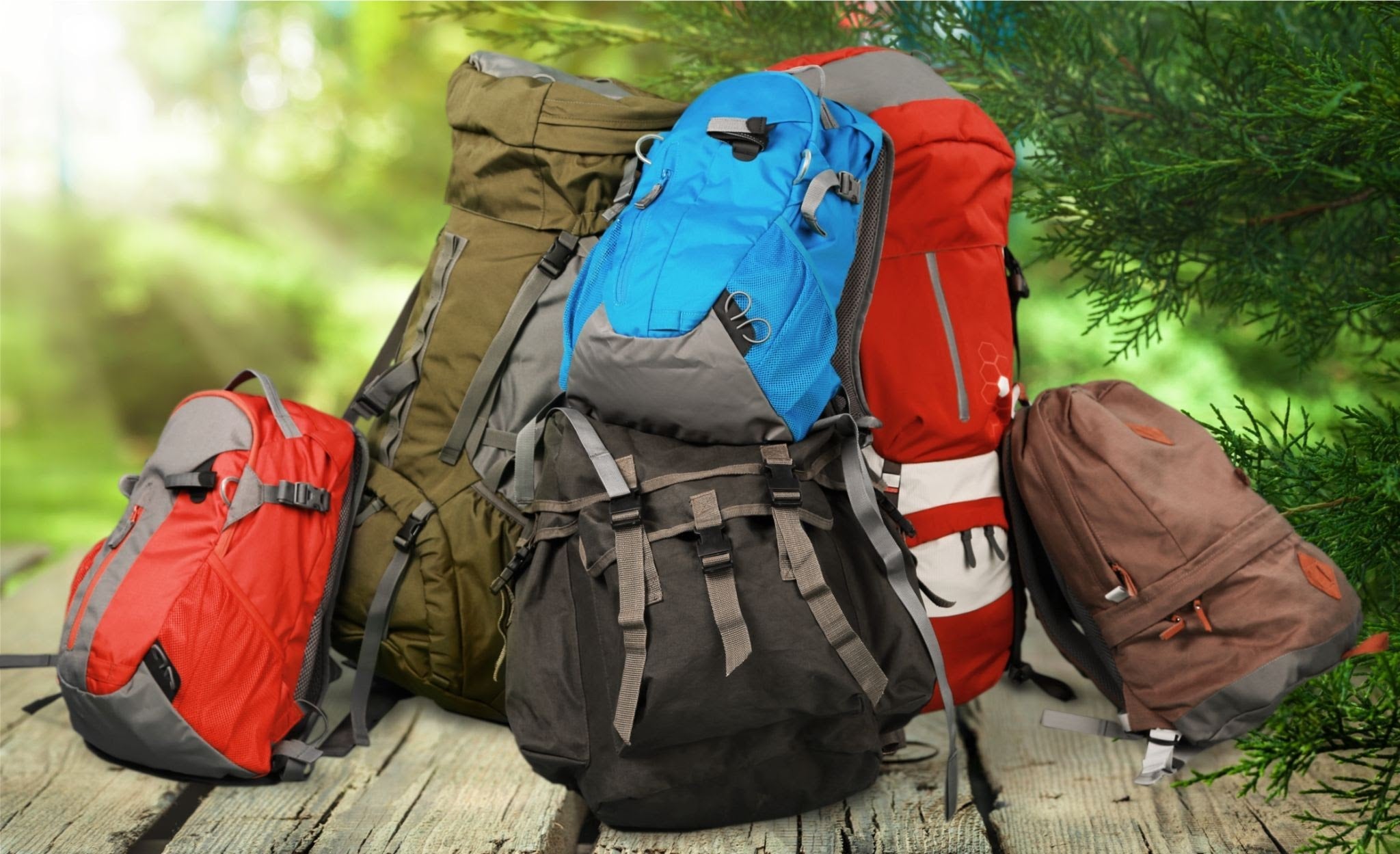 Backpacks & Travel Bags
